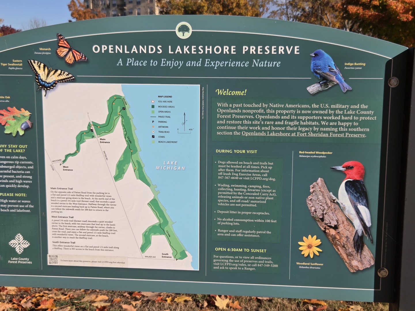 34 Logan Loop Highland Park, IL 60035 - Photo 67 of 82