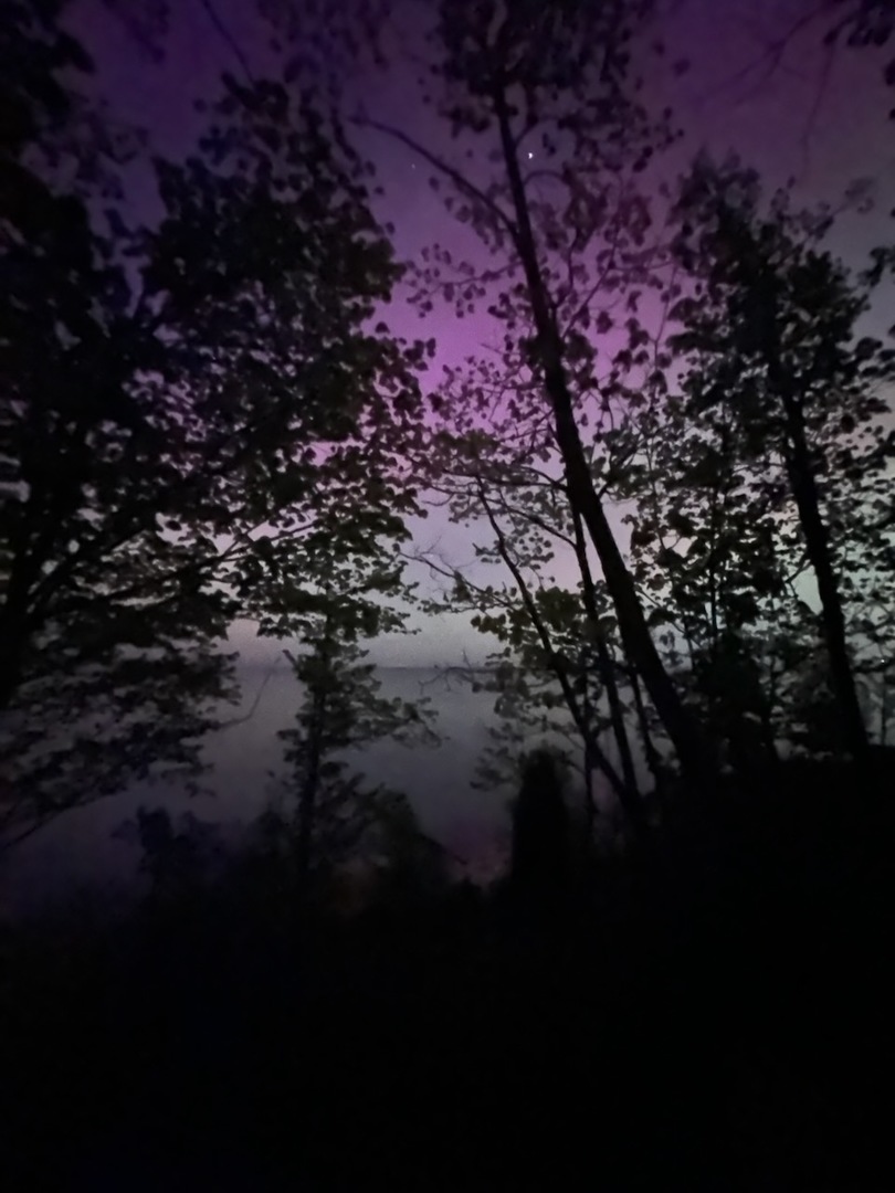 34 Logan Loop Highland Park, IL 60035 - Photo 81 of 82