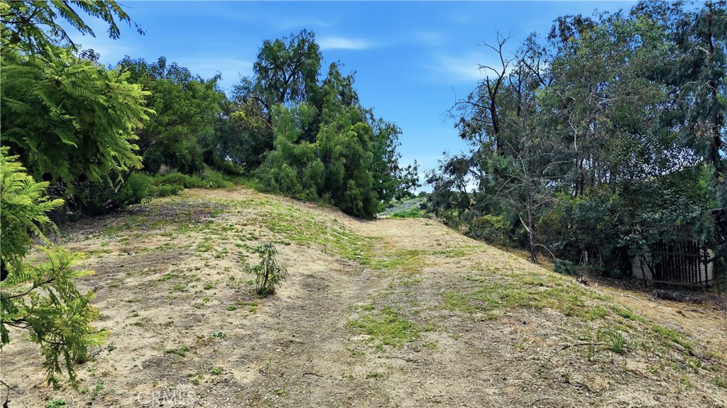0 Santa Maria Road Topanga, CA 90290 - Photo 16 of 19 a view of a yard with plants and trees
