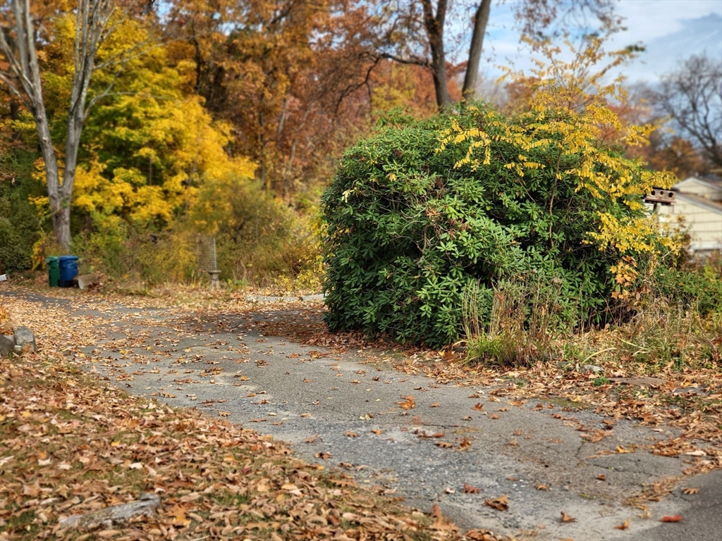 23 Wilmington Road Burlington, MA 01803 - Photo 5 of 6 a view of a yard with a tree