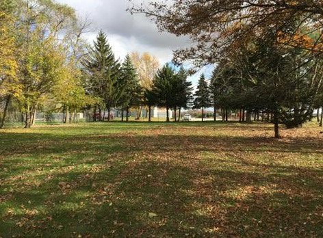 26010 South Klemme Rd  