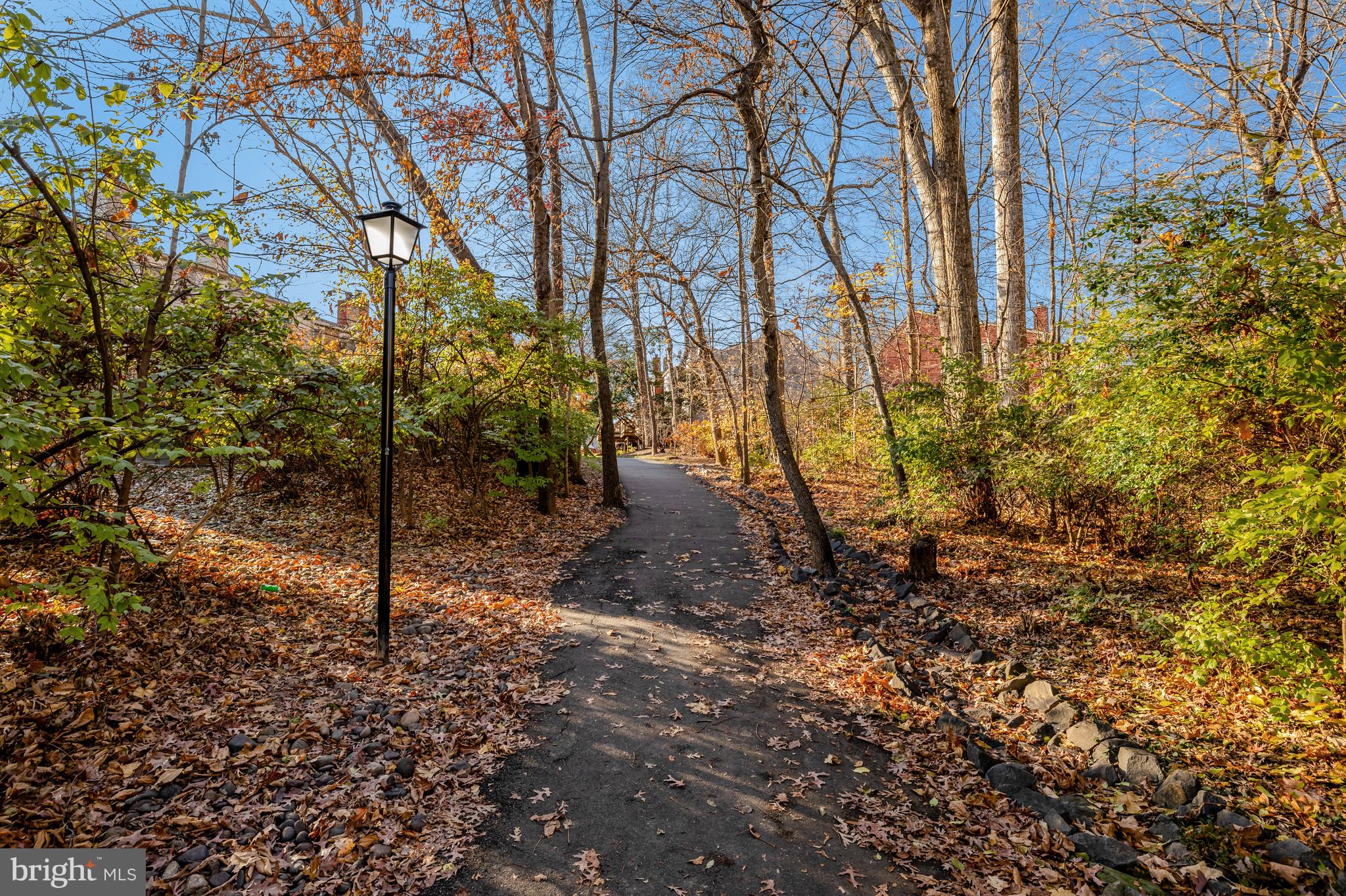11200 Silentwood Lane Reston, VA 20191 - Photo 46 of 46 a backyard of a house with lots of green space