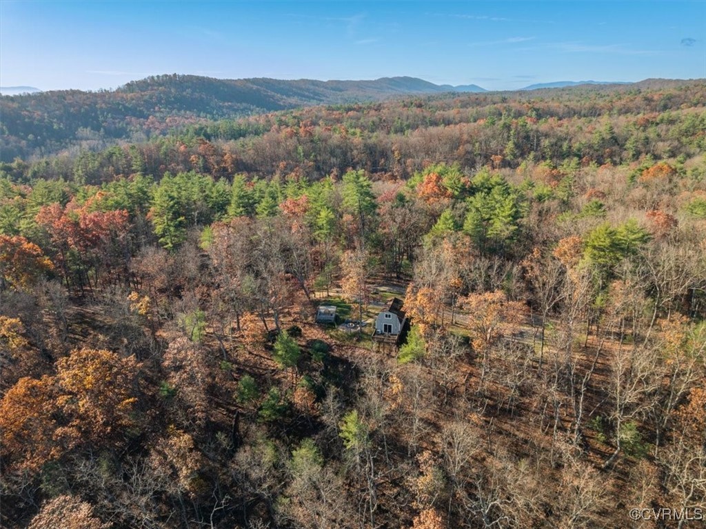 885 South Maple Road Mount Jackson, VA 22842 - Photo 42 of 48 a view of mountain and tree
