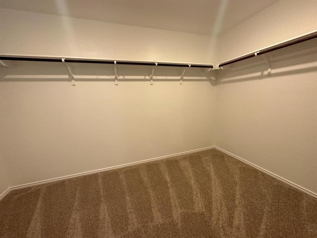 346 Carmello Kyle, TX 78640 - Photo 23 of 39 Walk in closet with carpet flooring