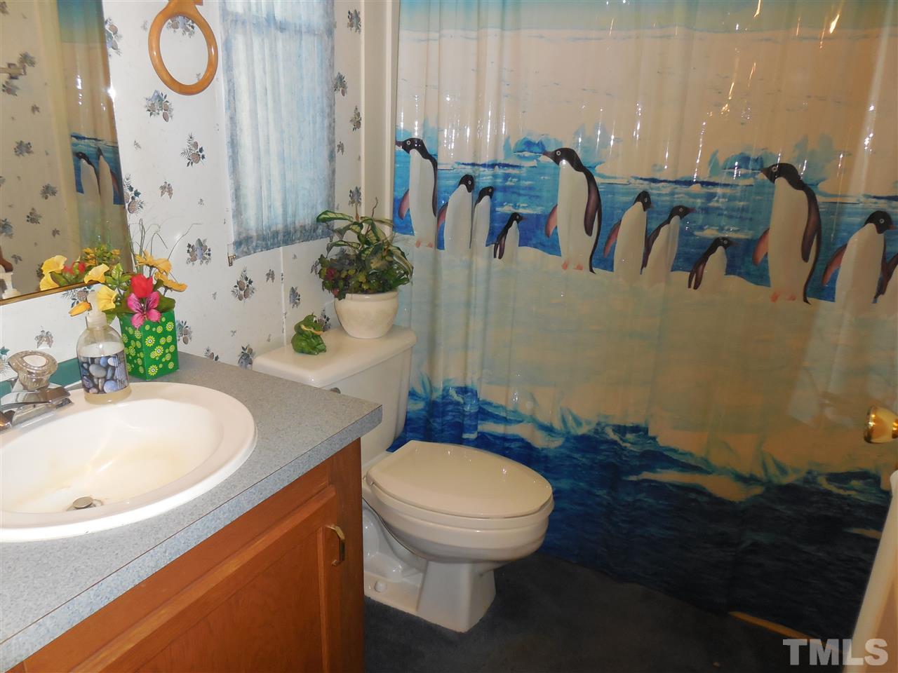80 Kermit Duncan Road Timberlake, NC 27583 - Photo 2 of 15 Gallery Image 2