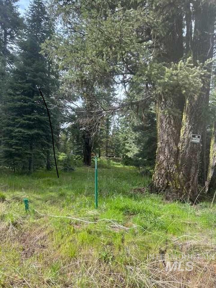 2195 Davy Road Donnelly, ID 83615 - Photo 1 of 3