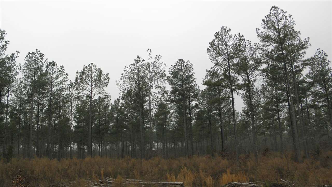 0 Jim Smith Road Pendleton, SC 29670 - Photo 3 of 5