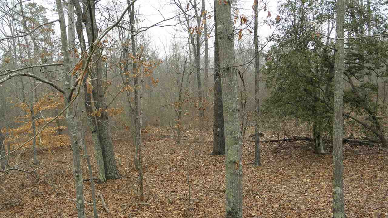 0 Jim Smith Road Pendleton, SC 29670 - Photo 4 of 5