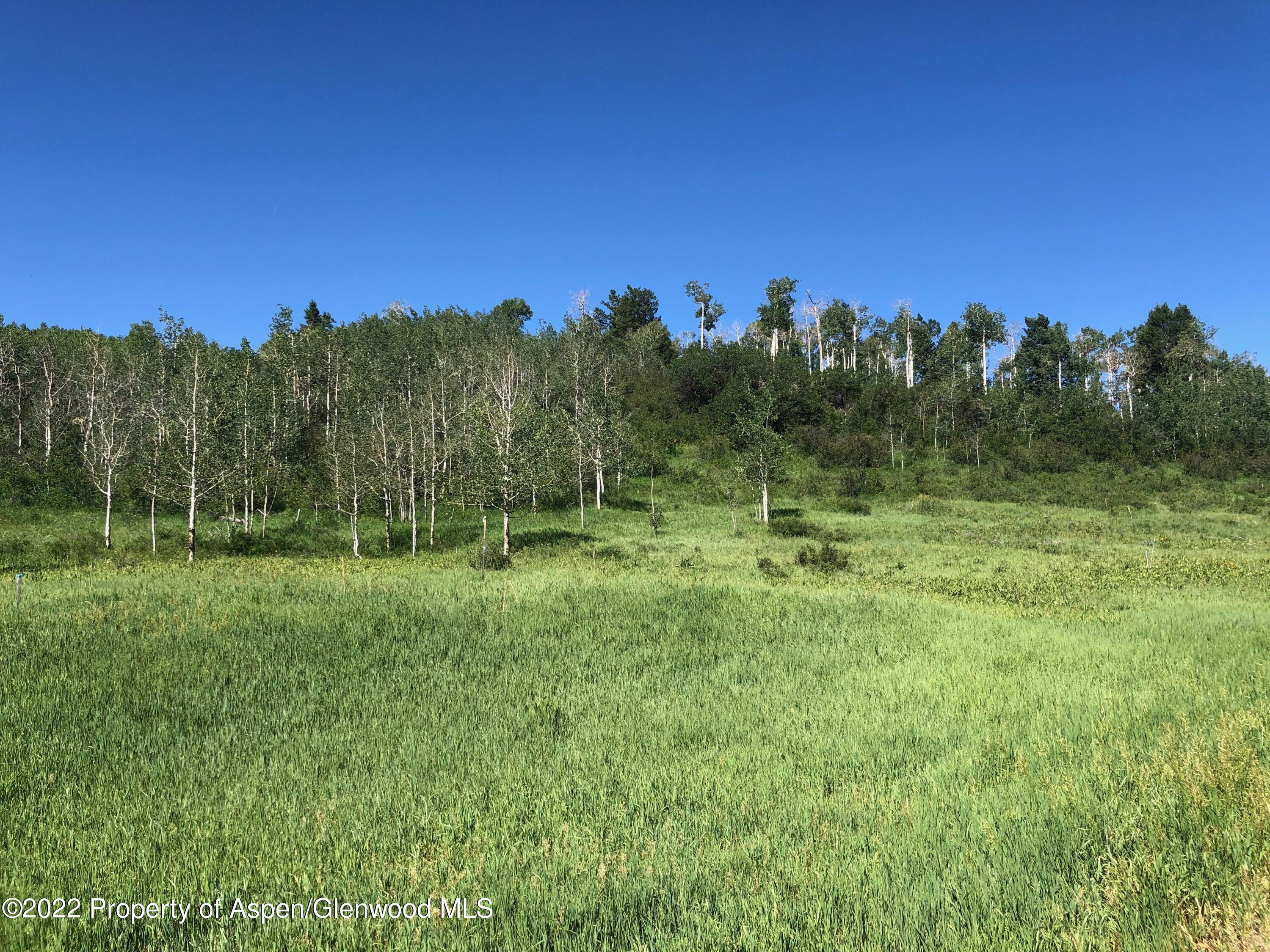 Tbd Eagle Pines Drive Aspen, CO 81611 - Photo 21 of 32 a view of a grassy field with trees in the background