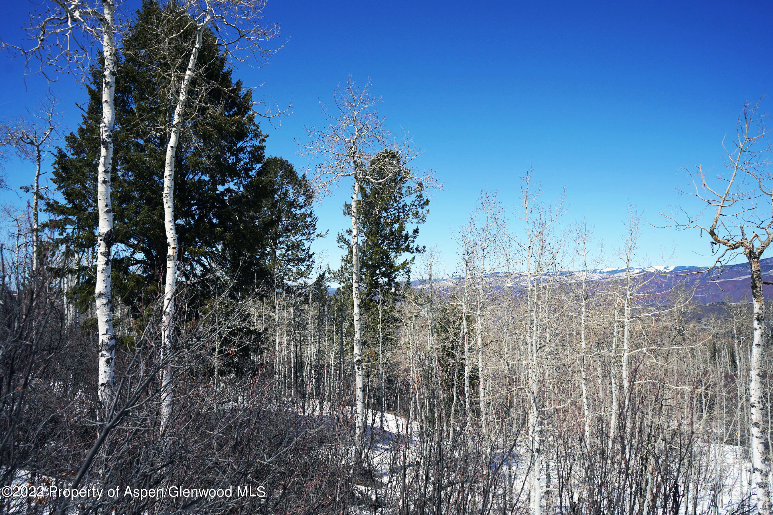 Tbd Eagle Pines Drive Aspen, CO 81611 - Photo 23 of 32 a view of a outdoor space