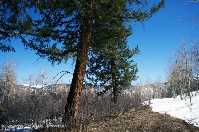 a view of a yard with wooden fence