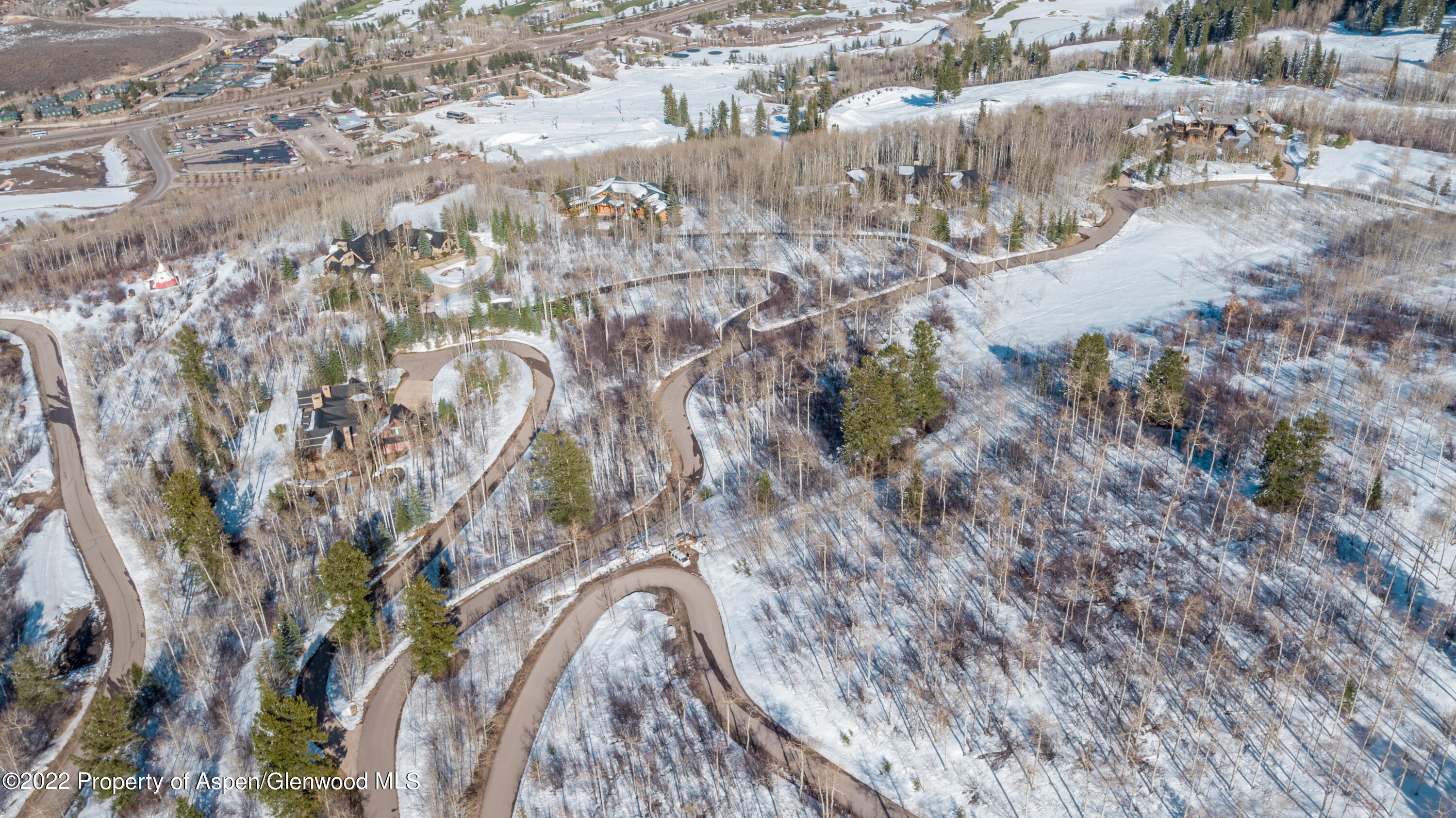 Tbd Eagle Pines Drive Aspen, CO 81611 - Photo 27 of 32 a view of outdoor space and a yard