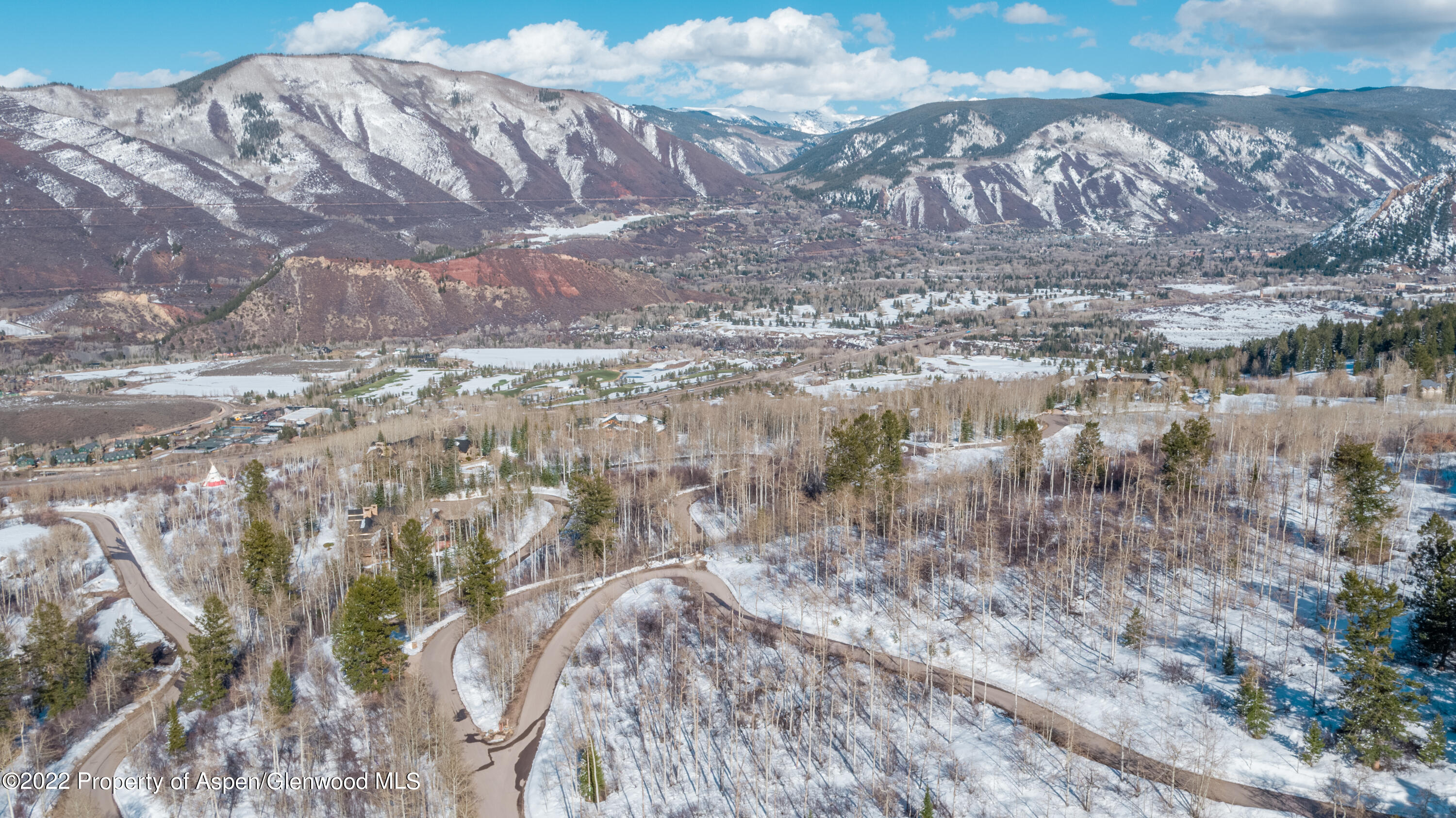 Tbd Eagle Pines Drive Aspen, CO 81611 - Photo 9 of 32 a view of a dry yard