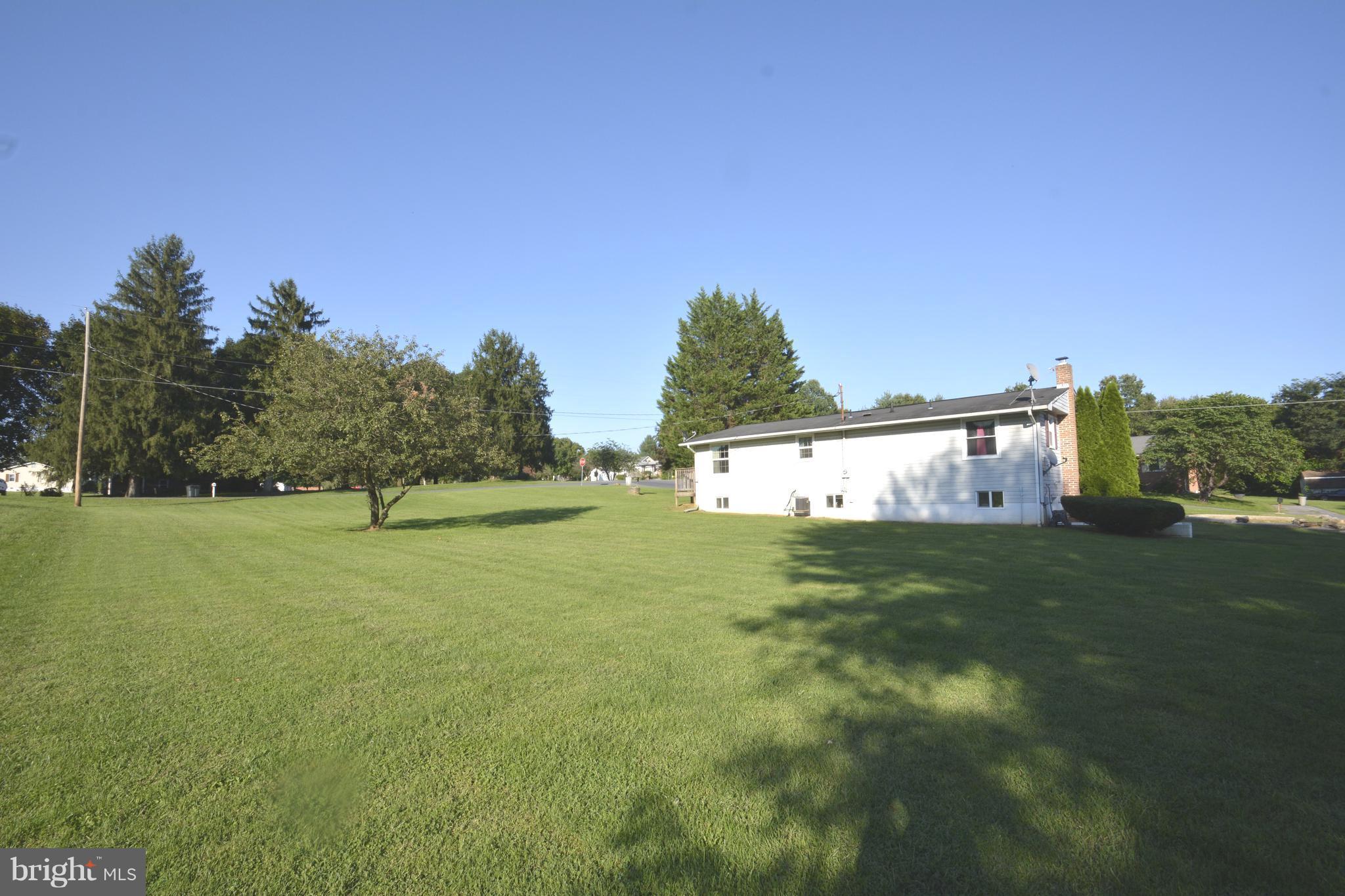 165 Lockhouse Road Falling Waters, WV 25419 - Photo 17 of 18 a view of a big yard with large trees