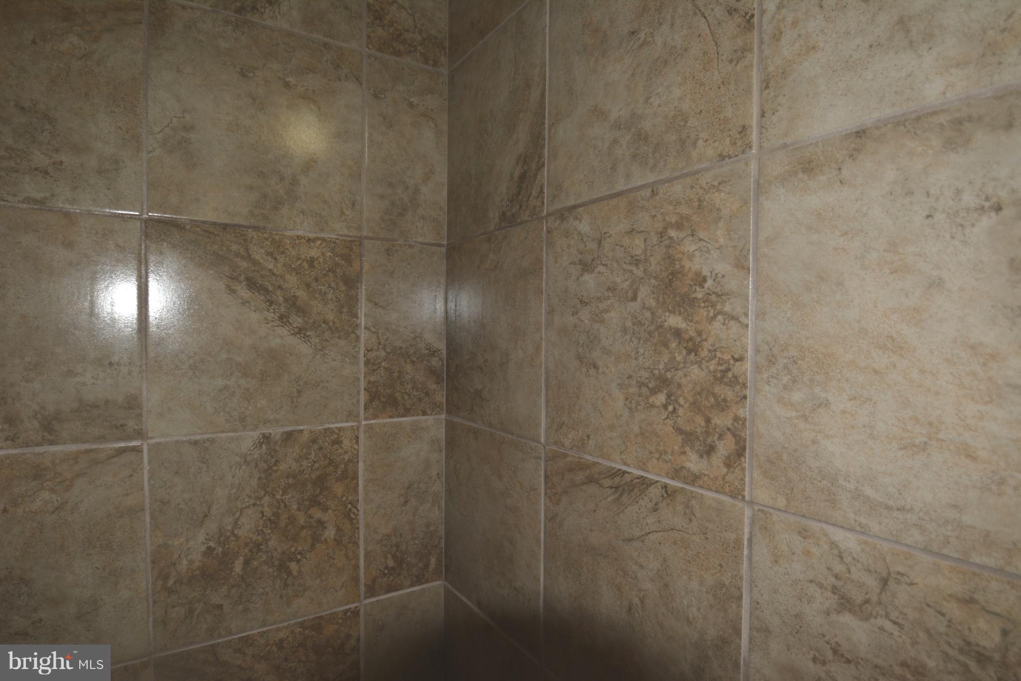 165 Lockhouse Road Falling Waters, WV 25419 - Photo 7 of 18 a bathroom with a shower