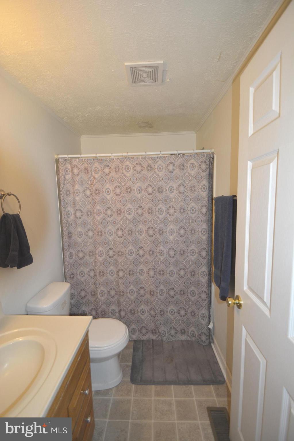 165 Lockhouse Road Falling Waters, WV 25419 - Photo 10 of 18 a bathroom with a sink and a toilet