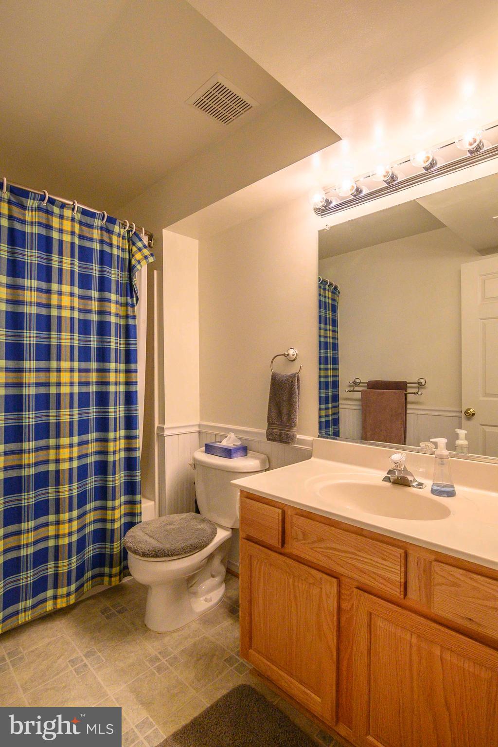 7155 Pine Ridge Road Marshall, VA 20115 - Photo 73 of 79 Lower level bath