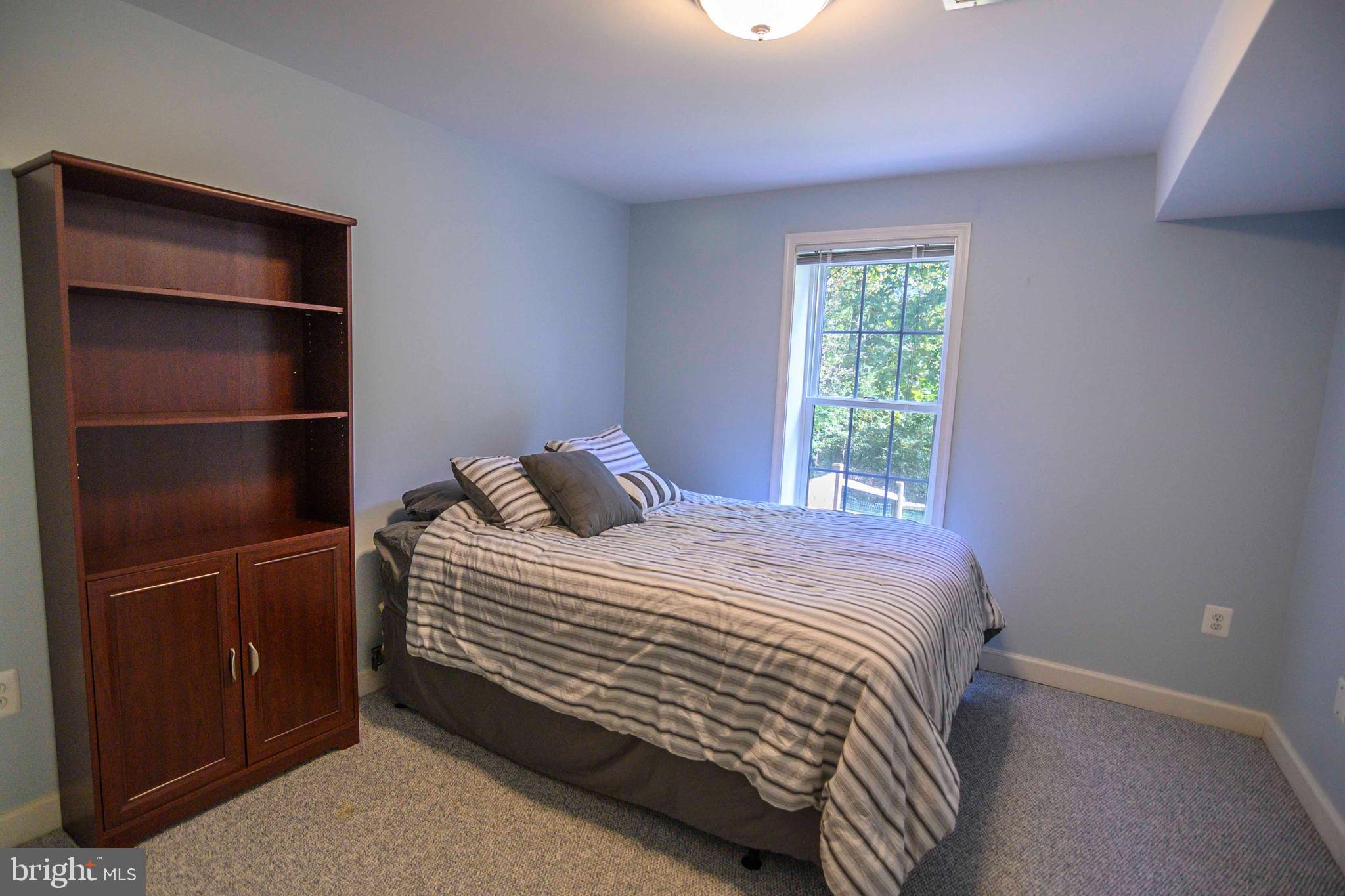 7155 Pine Ridge Road Marshall, VA 20115 - Photo 77 of 79 Lower level BR 2
