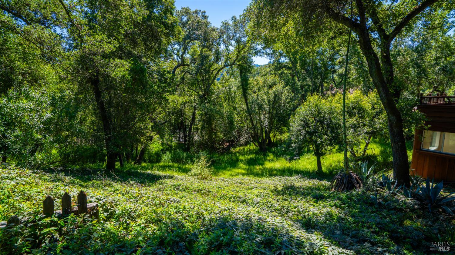 22 Oak Road Fairfax, CA 94930 - Photo 40 of 47 View of the land below the house that borders Cypress Rd 70 feet frontage.