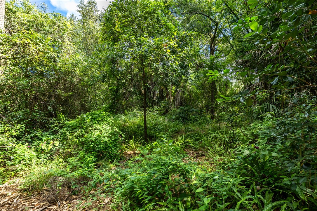 12511 Roseland Road Sebastian, FL 32958 - Photo 12 of 16 Gallery Image 12