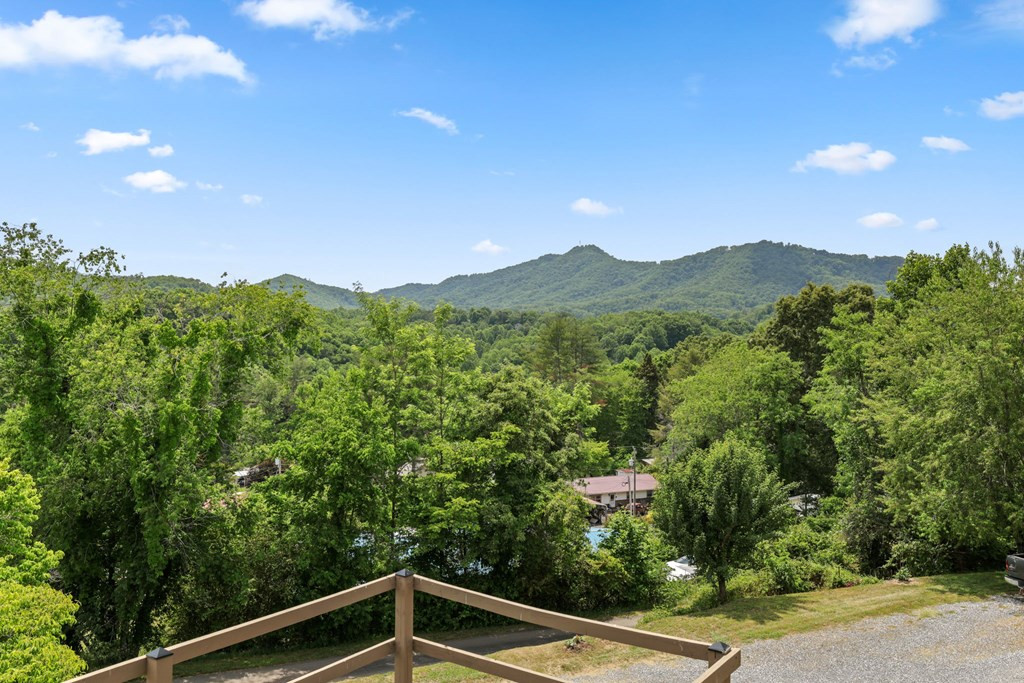 533 Lemons Branch Road Bryson City, NC 28713 - Photo 31 of 46 Gallery Image 31