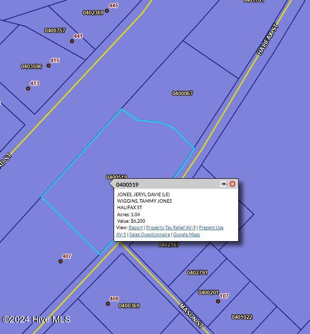 Tbd Halifax Street Enfield, NC 27823 - Photo 6 of 7 Screenshot 2024-12-06 143133