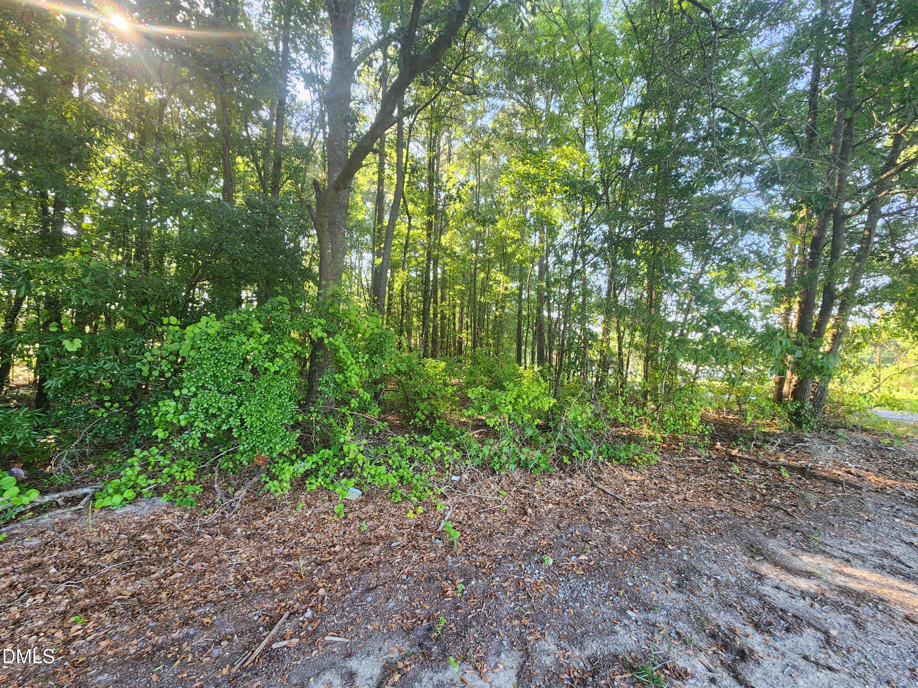 995 B Barbour Road Smithfield, NC 27577 - Photo 7 of 8 1000006913