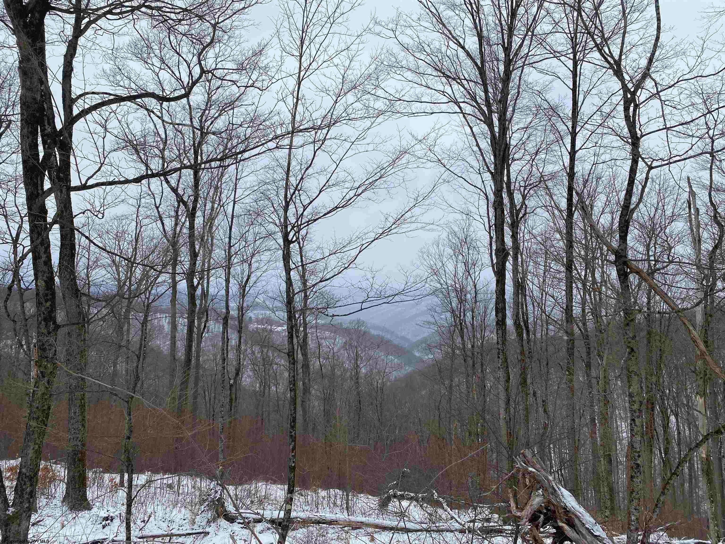 Tbd Stemple Ridge Road Aurora, WV 26705 - Photo 3 of 15 Gallery Image 3