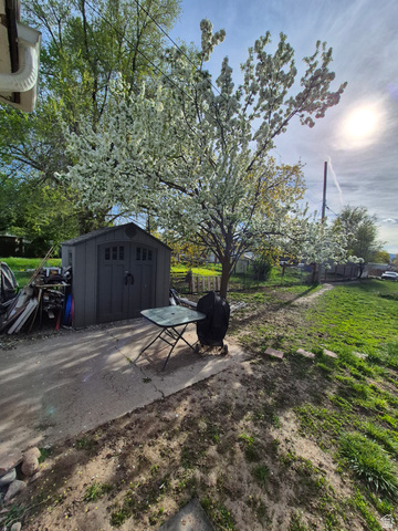 327 North 300 West Logan, UT 84321 - Photo 11 of 12 View of yard with a storage shed