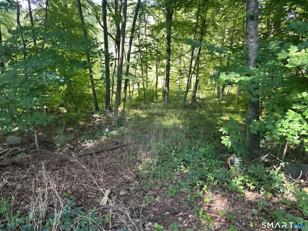 $260,000 | 56 Hubbell Mountain Road, Sherman, CT 06784