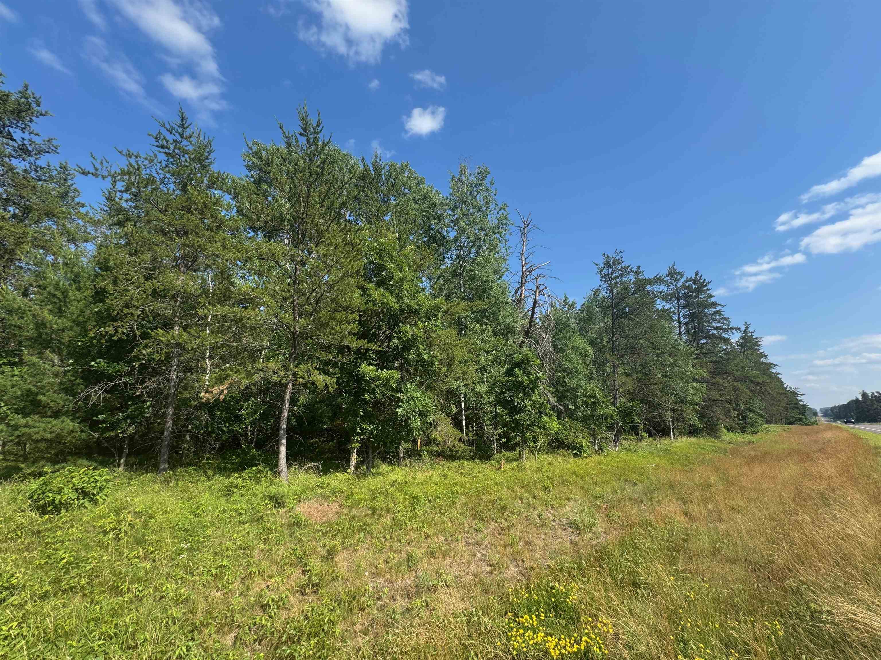 27 Hayward Wi 54843 Hayward, WI 54843 - Photo 13 of 55 View of wooded area