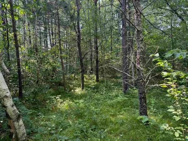 $189,000 | 27 Hayward Wi 54843, Hayward, WI 54843