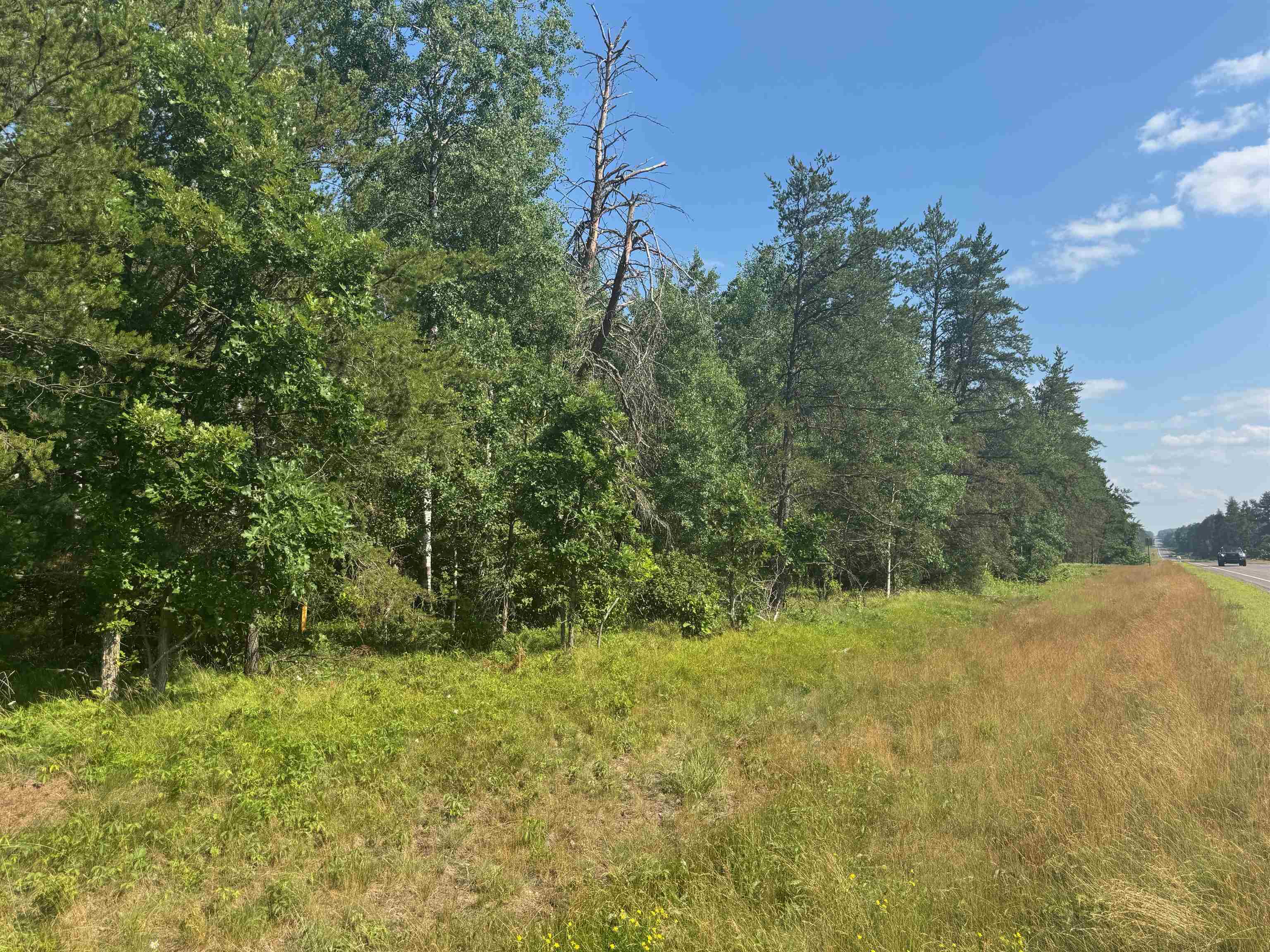 27 Hayward Wi 54843 Hayward, WI 54843 - Photo 41 of 55 View of asphalt street featuring a view of trees