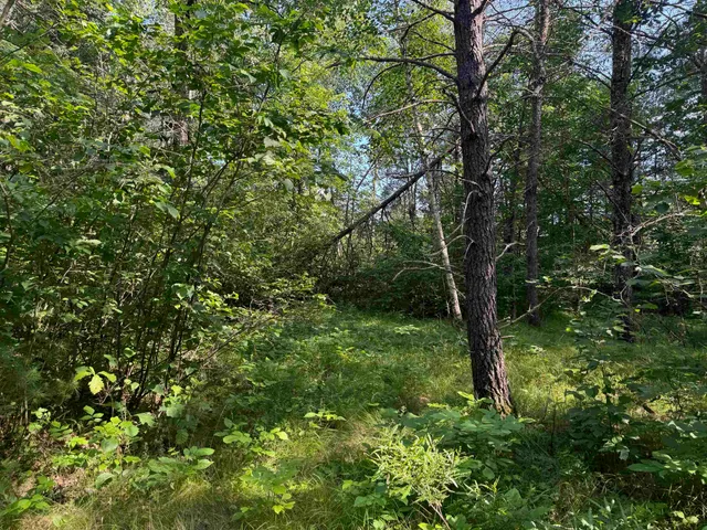 $199,000 | 27 Hayward Wi 54843, Hayward, WI 54843