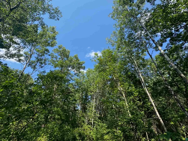 $189,000 | 27 Hayward Wi 54843, Hayward, WI 54843