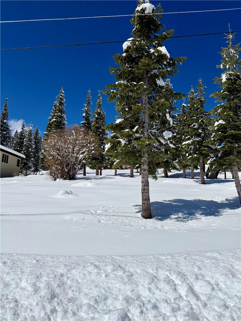 11784 Rhineland Avenue Truckee, CA 96161 - Photo 6 of 6 a street view of a building