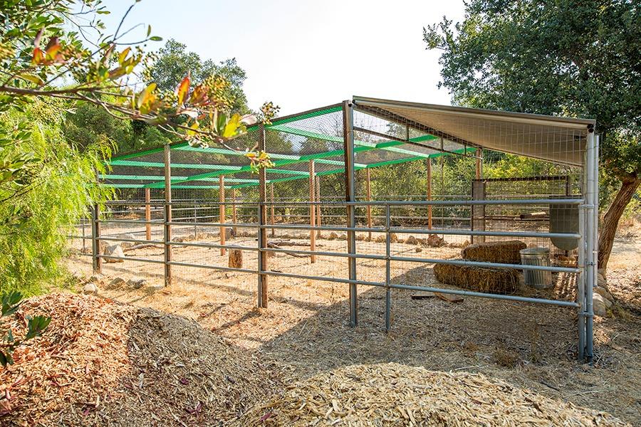 850 Carne Road Ojai, CA 93023 - Photo 4 of 35 Gallery Image 4