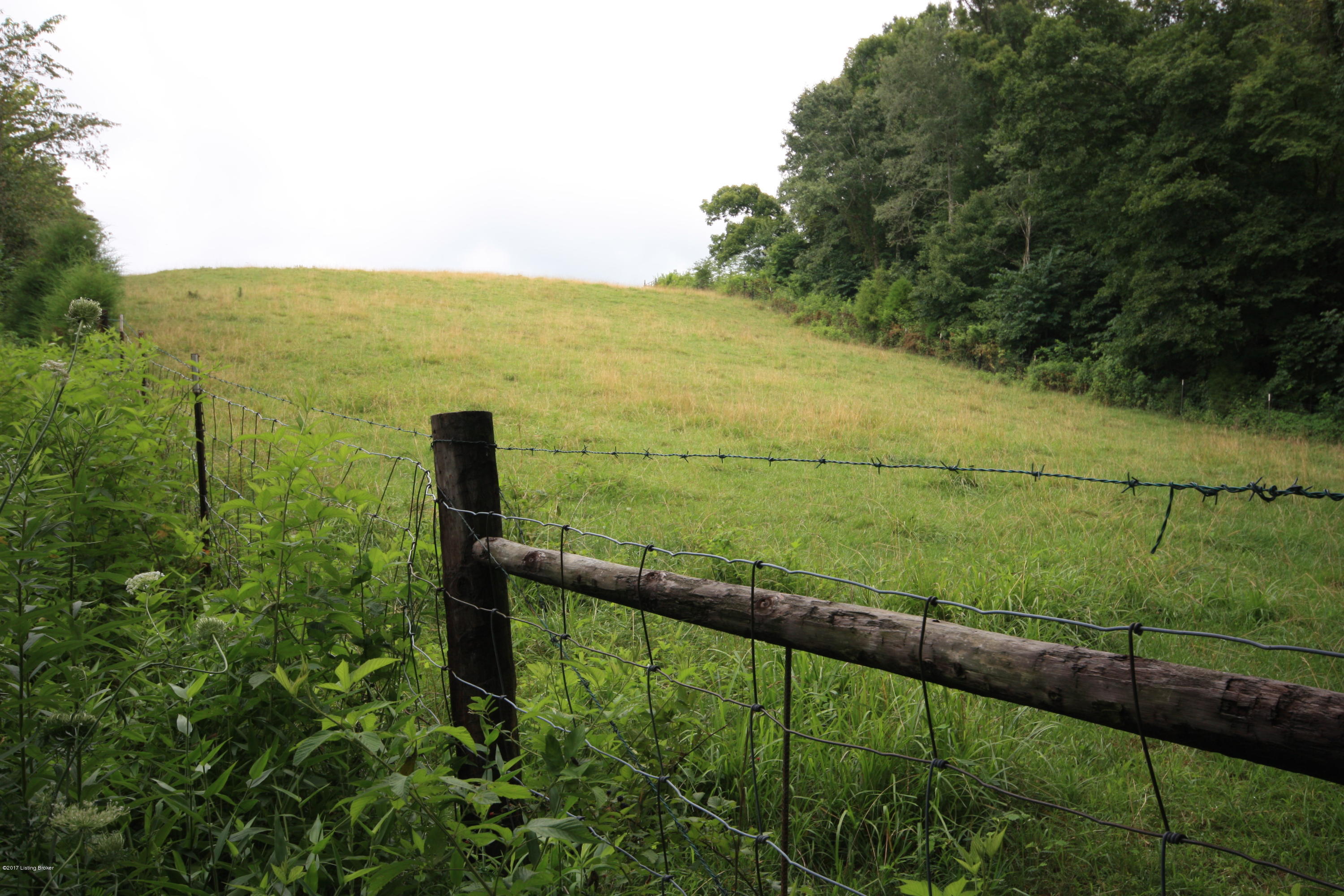 2207 Rabbit Flat Road Caneyville, KY 42721 - Photo 33 of 34 IMG_9933