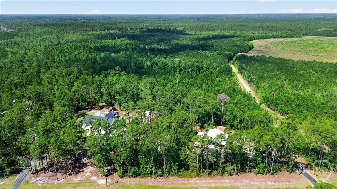 2953 Highway 67 Pembroke, GA 31321 - Photo 62 of 66
