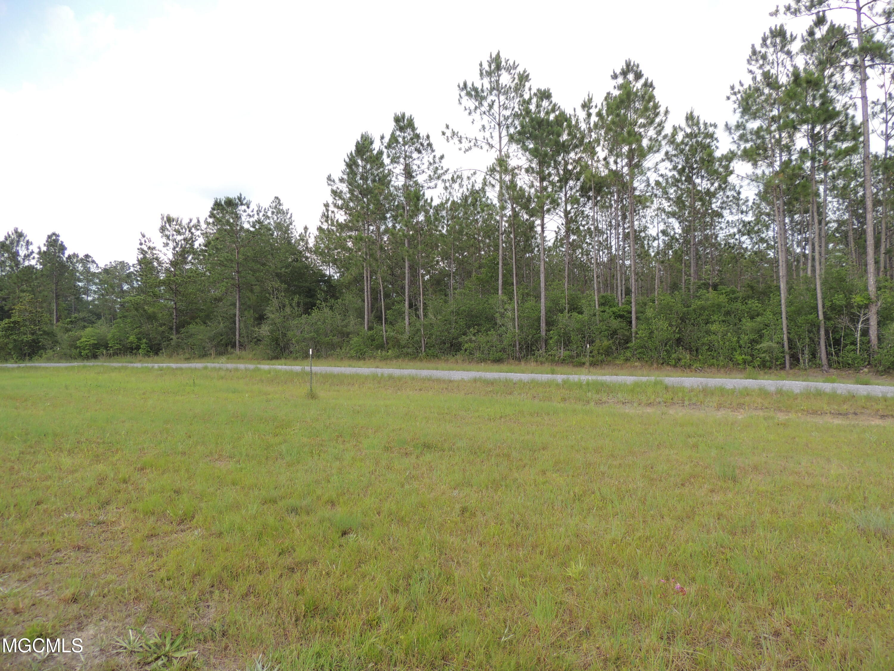 0 Firetower Road Kiln, MS 39556 - Photo 11 of 17 DSCN6994