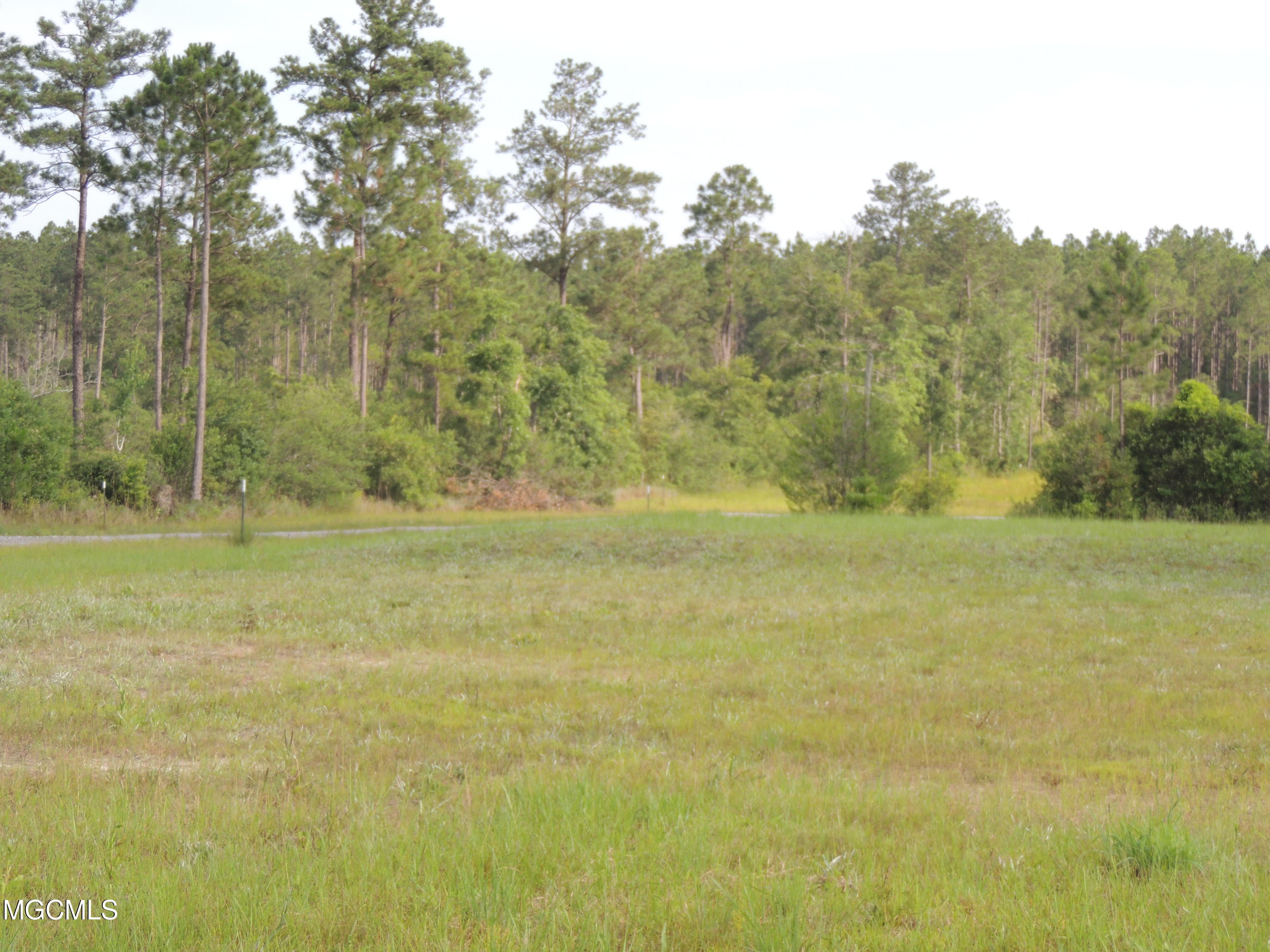 0 Firetower Road Kiln, MS 39556 - Photo 6 of 17 DSCN6986