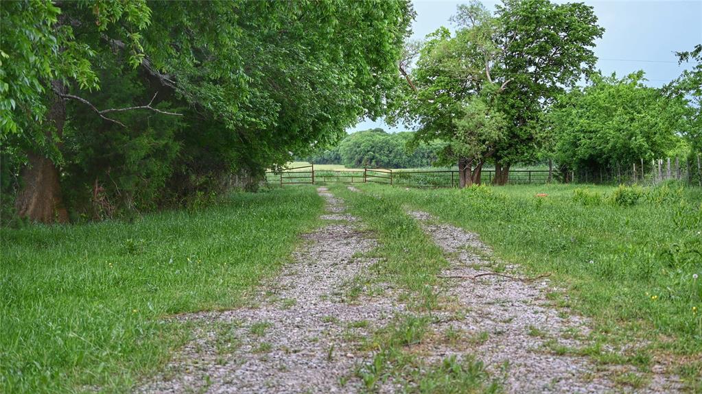 1752 Rd Whitewright Tx 75491 Road Whitewright, TX 75491 - Photo 11 of 12 a view of a green yard with large trees