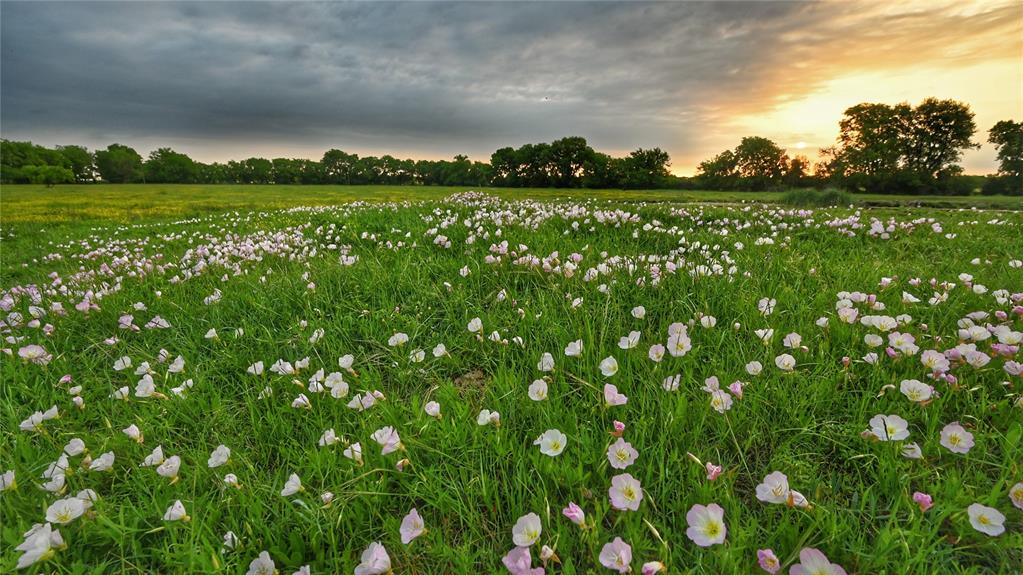 1752 Rd Whitewright Tx 75491 Road Whitewright, TX 75491 - Photo 2 of 12 Beautiful sunrises