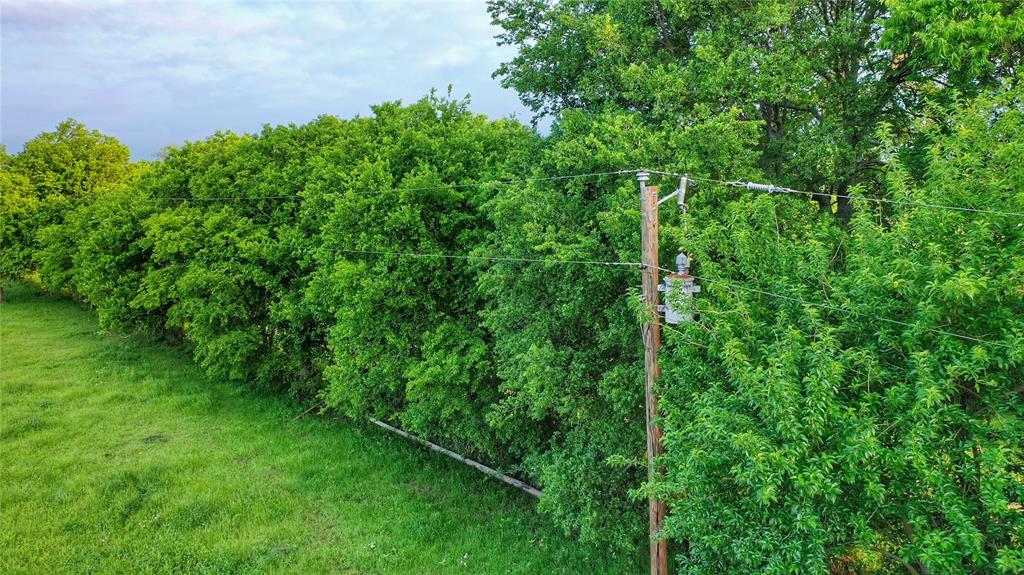 1752 Rd Whitewright Tx 75491 Road Whitewright, TX 75491 - Photo 5 of 12 a view of a lush green space