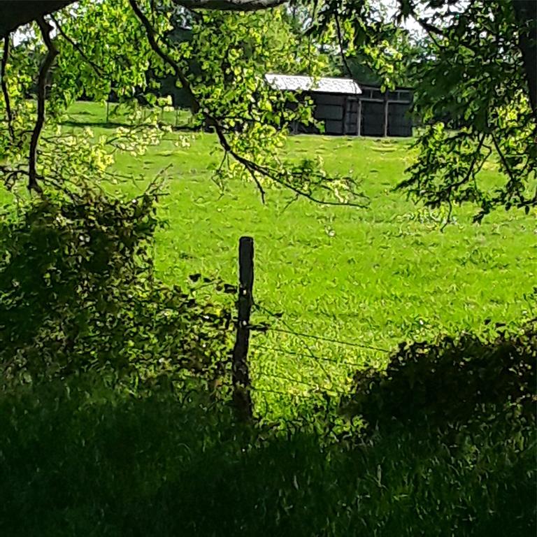 1752 Rd Whitewright Tx 75491 Road Whitewright, TX 75491 - Photo 8 of 12 a view of a garden