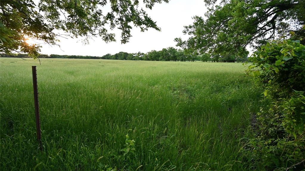 1752 Rd Whitewright Tx 75491 Road Whitewright, TX 75491 - Photo 10 of 12 Pasture view