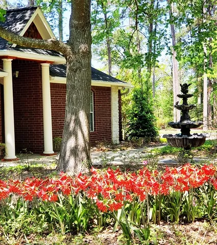 a front view of a house with garden