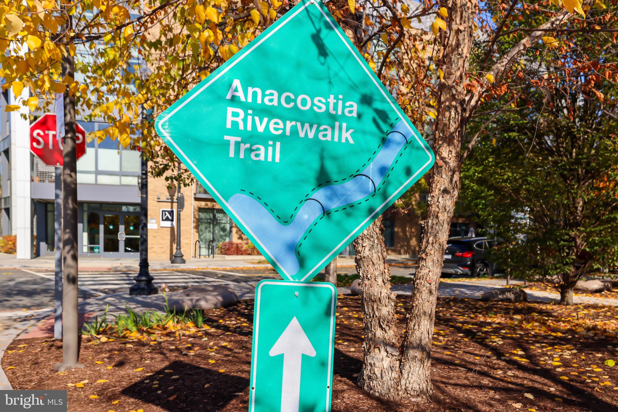 1245 4th Street Southwest, Unit E106 Washington, DC 20024 - Photo 37 of 40