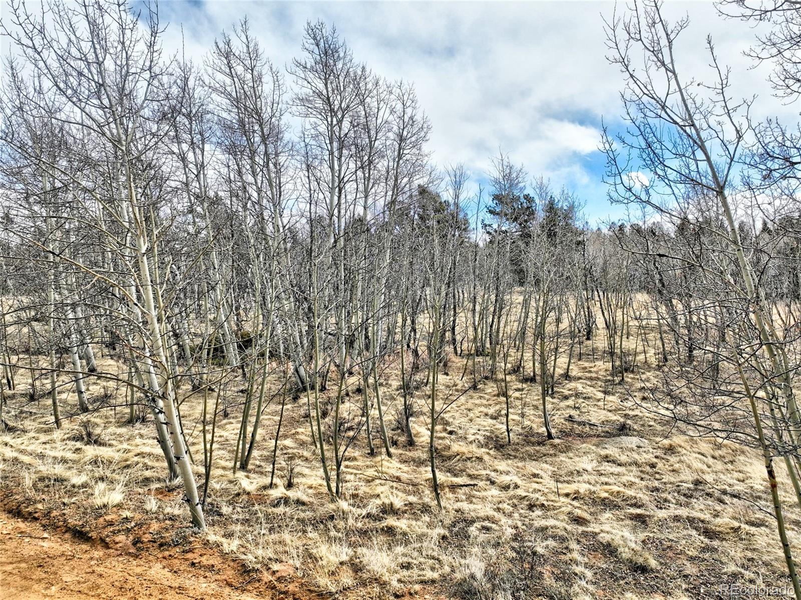 174 Elk View Road Florissant, CO 80816 - Photo 12 of 21 Gallery Image 12