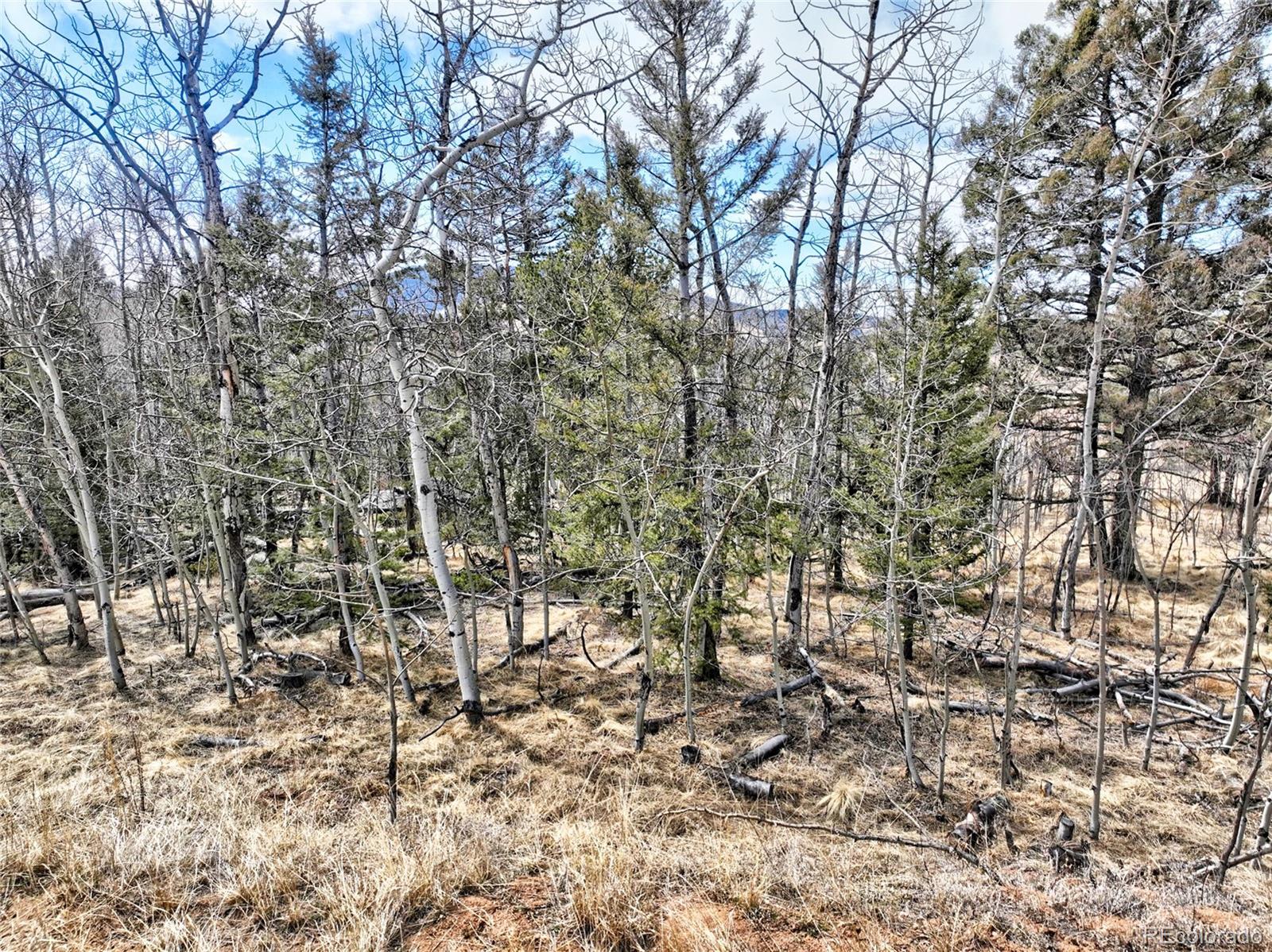 174 Elk View Road Florissant, CO 80816 - Photo 19 of 21 Gallery Image 19